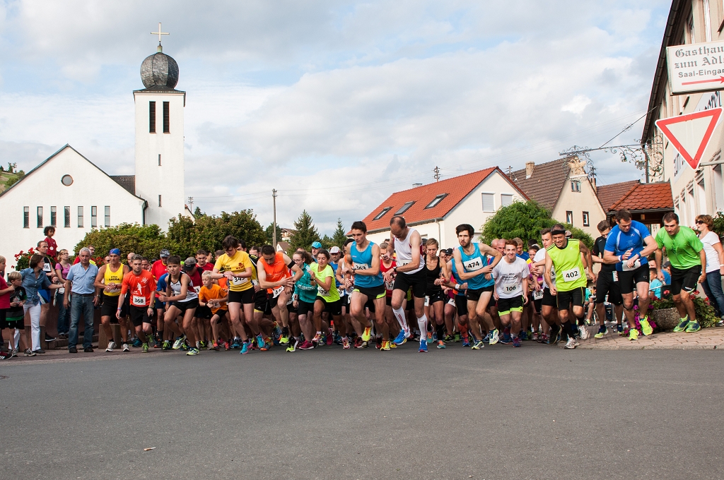 Lauf2013
